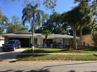 214 Nestlebranch Dr, Safety Harbor, FL 34695
