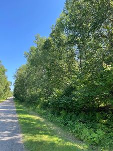 LOT 4 Rolling Hills Dr NW, Bemidji, MN, 56601