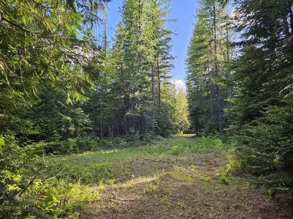 Nka Blackberry Ln, Usk, WA 99180