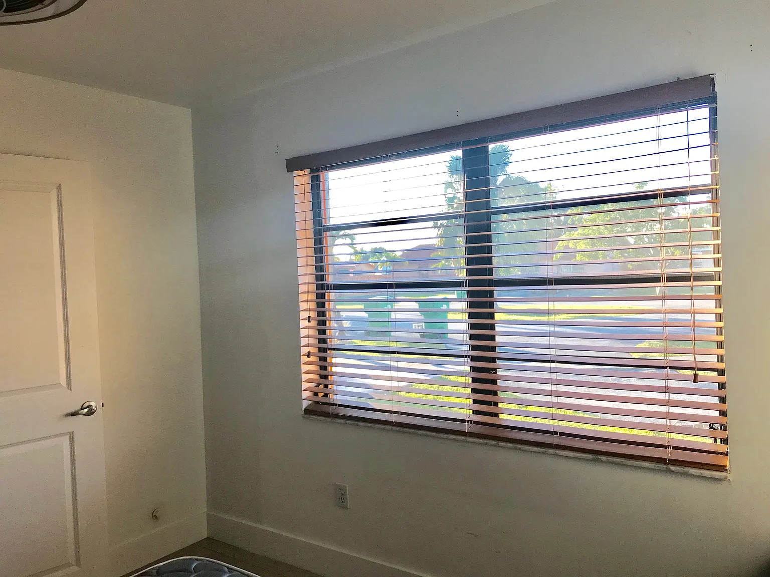 1 bed, $990 — Photo 4