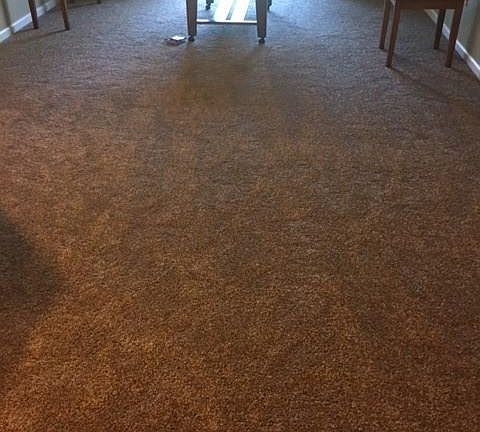 4th image of 802 Crest Pines Dr APT 835