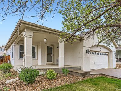 12507 Dexter Way, Thornton, CO, 80241