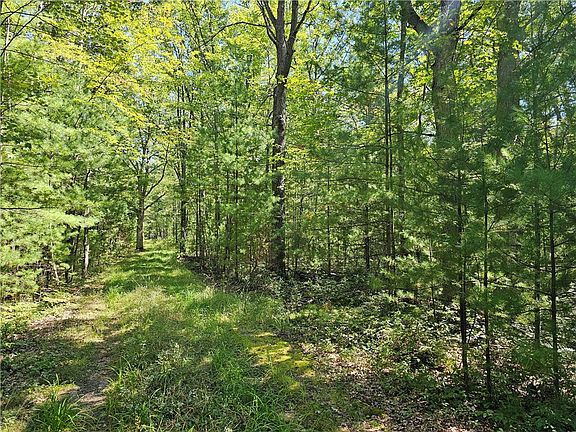 5th image of N7696 Spaulding Road