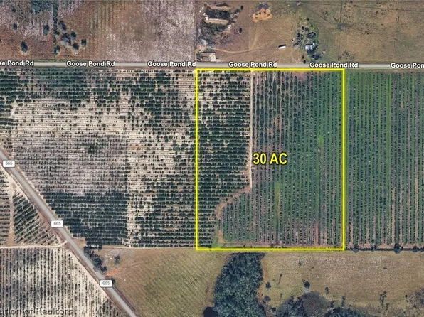 Goose Pond Rd, Ona, FL 33865