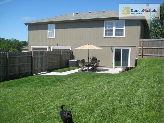 A photo boom from the family dog.  She loves to play.  Great sid