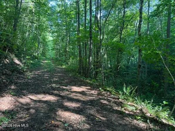 5 Tyler Lane, Marble, NC 28905