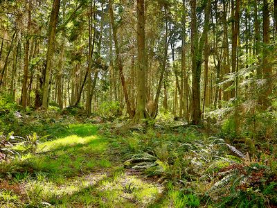 Lot 19 Ashley Loop, Langley, WA, 98260