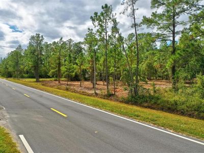 9945 Kirchherr Ave, Hastings, FL, 32145