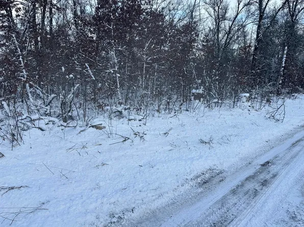 2533 W Ann St, Baldwin, MI 49304