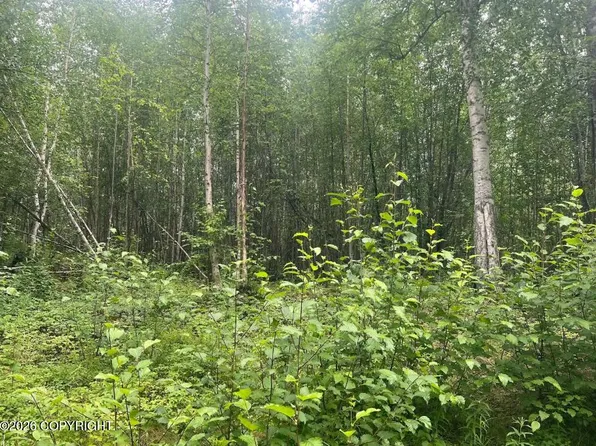 4768 S Horseshoe Lake Rd, Big Lake, AK 99623