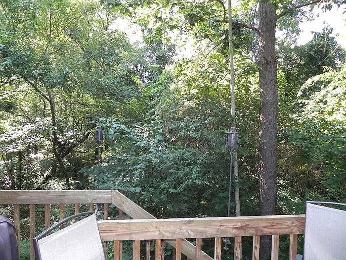 104 Cedarwood Ln — Photo 18