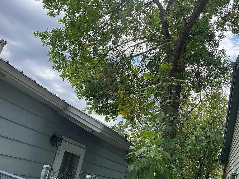 871 E 3rd Ave — Photo 14