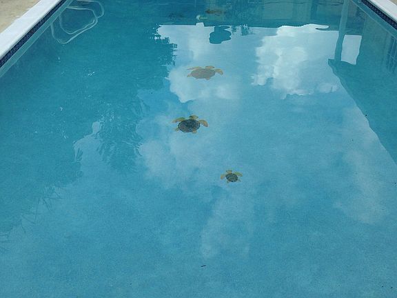 2nd image of 4978 SW 102nd Ave