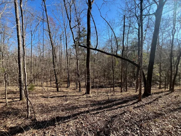 Tyson Ln, Greenville, AL 36037