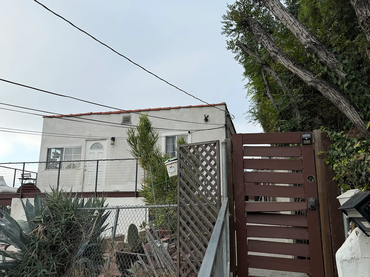 1 bed, 596 sqft, $1,750 — Photo 2