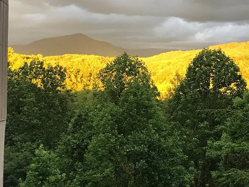 224 Woodland Rd #102