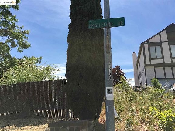 2nd image of 0 Bristlecone Dr