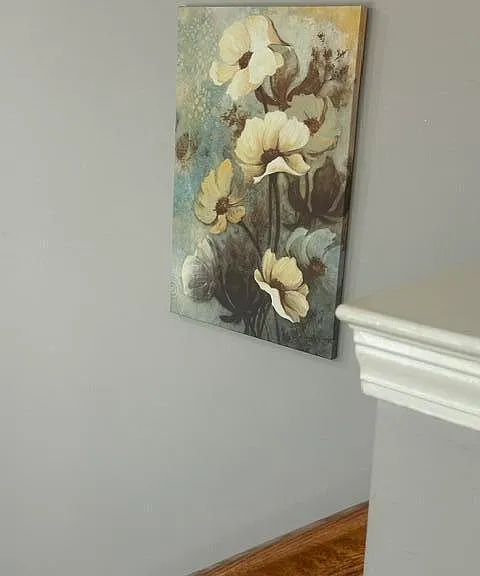 2708 Trillium Hills Dr — Photo 10