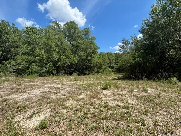 2608 Polk St, Inverness, FL 34453