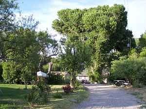 Drive into house