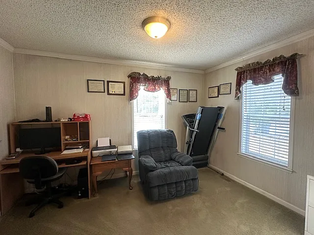 29 Mike Dr — Photo 23