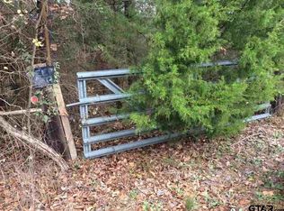 3 Route Fm #323, Palestine, TX 75801
