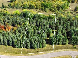 LOT 16 Lipp Farm Rd, Benzonia, MI 49616