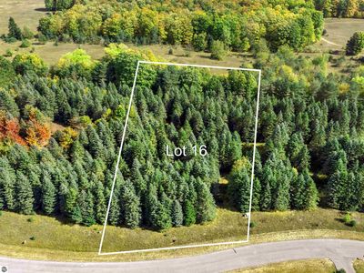 LOT 16 Lipp Farm Rd, Benzonia, MI, 49616
