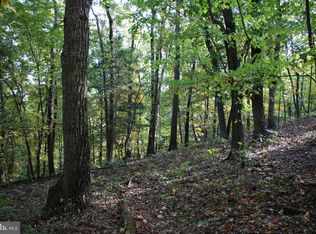 Senedo Rd, Mount Jackson, VA 22842