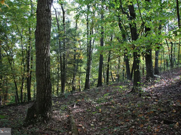 Senedo Rd, Mount Jackson, VA 22842