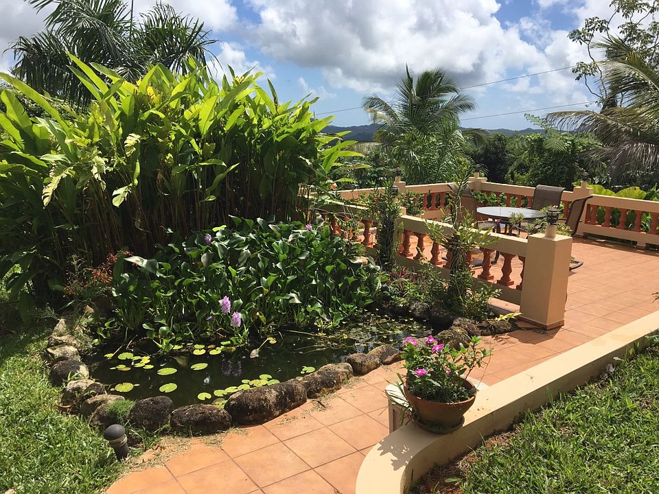 Terrace with pond