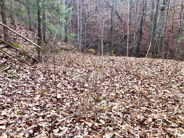 4159 Chamberlain Ln, Sevierville, TN 37862