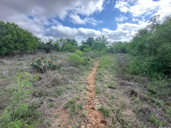 17603 Shepherd Rd, Atascosa, TX 78002