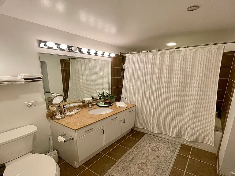 1702 S Michigan Ave #2504 — Photo 9
