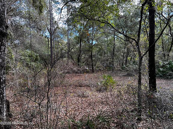 3rd image of 141 Woodland Lane