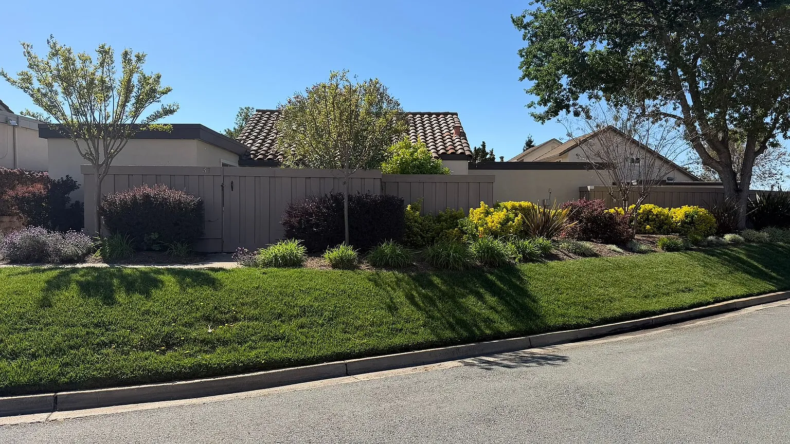 37 Mount Wilson Way photo 1