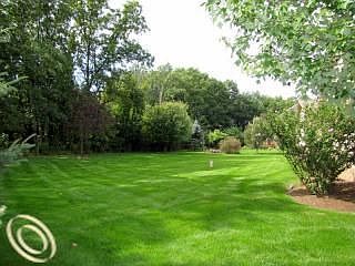 5th image of 13834 Bridgewater Ct
