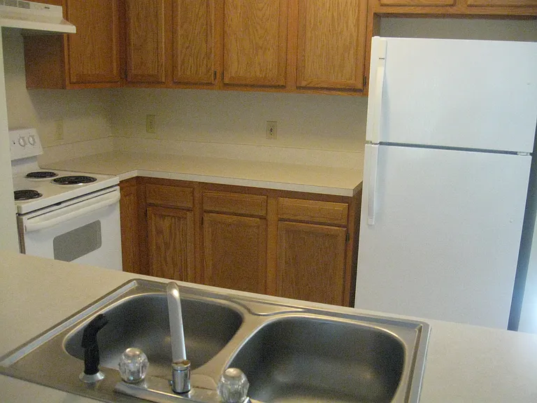 356 Bailey Run Ln — Photo 5
