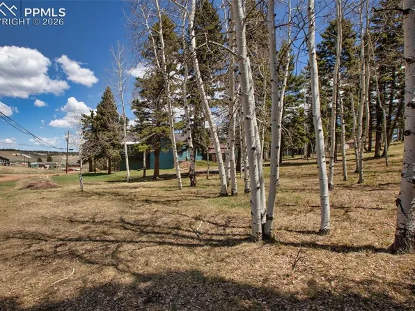 571 Will Scarlet Dr, Divide, CO 80814