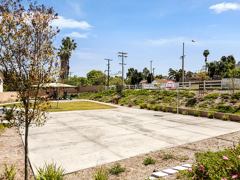 Community Basketball Court Grounds