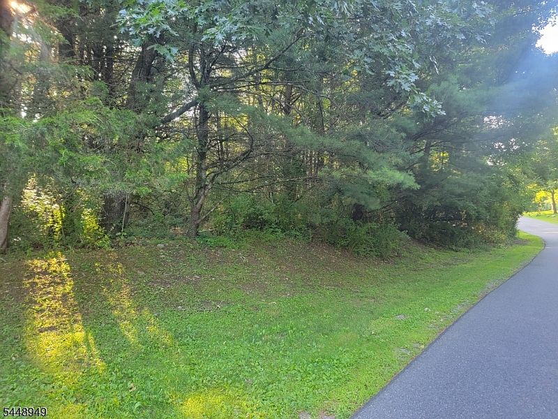 2nd image of 337 Wagon Wheel Rd