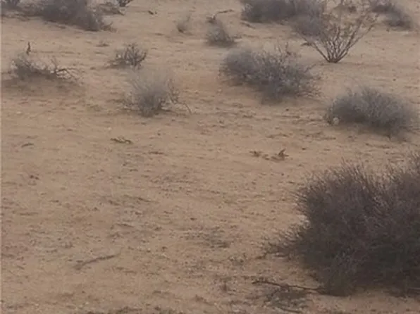 Saturn Rd, Copper Mountain, CA 92252