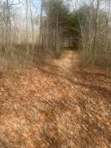 1 Snyder Loop, Graysville, TN, 37338