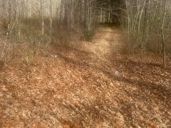 1 Snyder Loop, Graysville, TN 37338