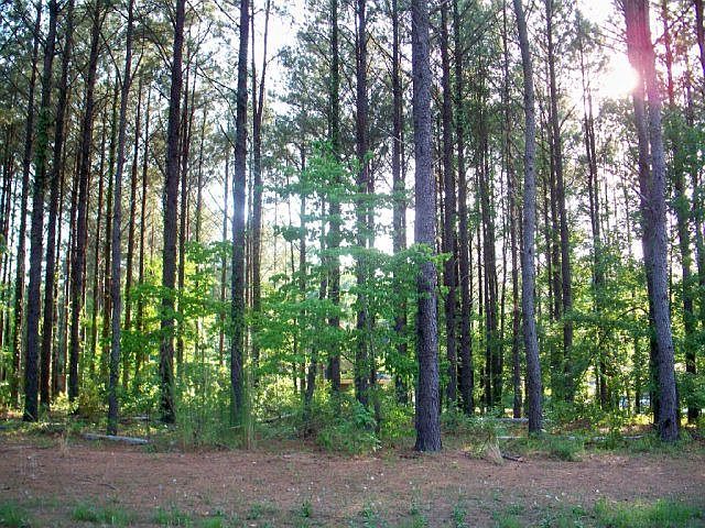 1st image of 5101 Hidden Cove Cir