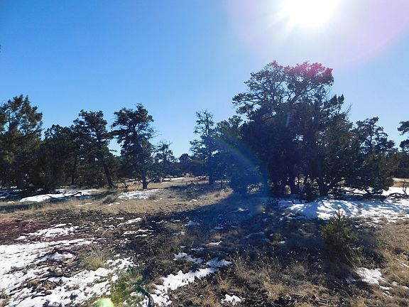3rd image of 10 Canyon Creek Rd