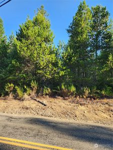 0 NE Dewatto Road Road, Tahuya, WA, 98588