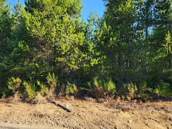 0 NE Dewatto Road Road, Tahuya, WA 98588