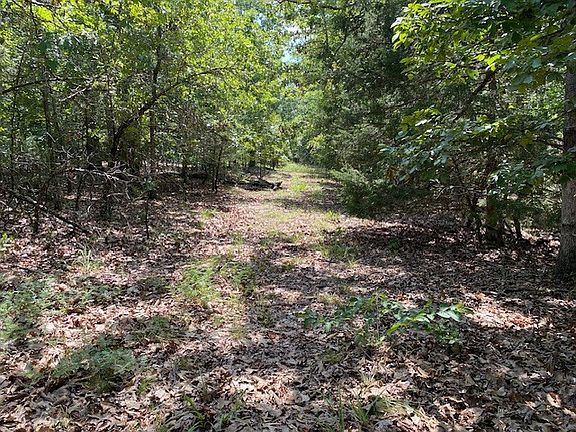 3rd image of Wild Turkey Trl
