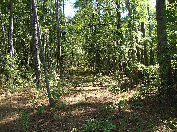 3rd image of Tbd Dowd Road LOT 3A